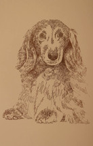 Longhaired Dachshund Dog Art #48 Kline Word Drawing - Your Dog&#39;s Name Added Free - £36.96 GBP