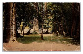 Camp in the Woods Redwood Forest Big Basin California CA DB Postcard Z3 - $3.91