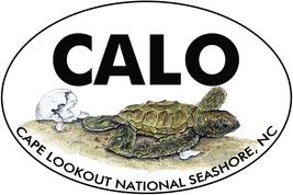 CALO - Cape Lookout Turtle Hatchling Vinyl Decal Sticker - Car Tumbler Cooler - £5.46 GBP+