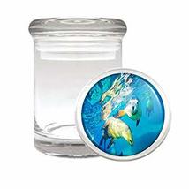 Sea Lion Em1 Medical Glass Stash Jar 3&#39;&#39; X 2&#39;&#39; Herb And Spice Storage Air Tight  - £6.28 GBP