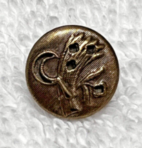 Victorian Picture Button Stunning Scythe Wheat Sparkler Stars 9/16&quot; Inch - £5.14 GBP