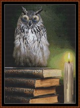 Book Owl ~~ counted cross stitch pattern PDF - $19.95