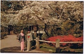 California Postcard San Francisco Japanese Tea Garden - £1.69 GBP