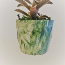 Succulent Planter with Chocolate Soldier Plant, Green Marble Kalanchoe Tomentosa image 4