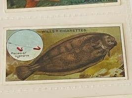 WD HO Wills Cigarettes Tobacco Trading Card 1910 Fish Bait Lure #47 Sole... - $19.69