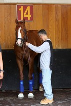 Item image 1 image 1