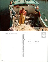 Florida Typical Days Catch ~ Fishing Fisherman Boat Nautical Vintage Postcard - £6.75 GBP