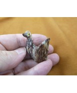 (Y-SWA-21) red SWAN baby bird carving SOAPSTONE gem stone figurine I lov... - £6.75 GBP