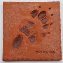 Prairie Fire Pottery Tile Trivet Cast From an Actual Track of Black Bear Cub 6&quot; - £17.52 GBP