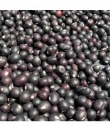Purple-black bambara groundnut,(Vigna subterranea) 200g for 12 USD, ship... - $34.00