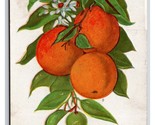 Oranges and Blossoms Embossed UDB Postcard T21 - $2.92