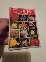 Vintage Postcard Post Card VTG Photograph West Virgina Wildflowers - £9.17 GBP