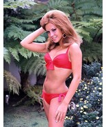 JOCELYN LANE 1960’s red bikini 8x10 garden portrait - $133.08 MXN