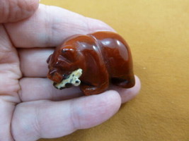 (Y-BEA-BF-600) Red Jasper BEAR with Fish gemstone carving FIGURINE I lov... - $14.01