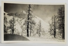 Snow Covered Mountain Scene c1940 Beautiful Trees Postcard R5 - £5.57 GBP