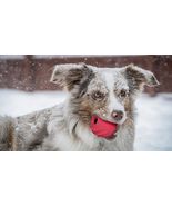 Dog Toys Hollow Red Tough Rubber Ball Cleans Teeth Bounce Fetch Fill wit... - $20.51 CAD+