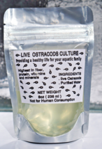 25+ Live Freshwater Culture Seeds Shrimp Ostracod Feeders Bred Tank Cleaners - £10.40 GBP
