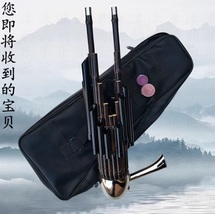 Sheng 17 reed with black amplifier tube Chinese wind instrument image 3
