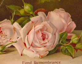 BARGAIN BIN Beautiful Pink Roses and Fond Remembrance Antique Postcard - £2.61 GBP