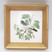Ceramic Tile Trivet Baltimore Oriole Bird Botanica Square Hanging Framed - $24.74