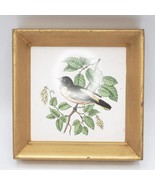 Ceramic Tile Trivet Baltimore Oriole Bird Botanica Square Hanging Framed - £19.32 GBP