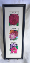 Antiq  R.H Shumway Seedsman Flower Seed Packets Mounted &amp; Framed Vertical 3 Hole - £32.03 GBP