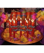 06-11-25 Full Moon Group Ritual. Wishing Ceremony, Blessings Manifestati... - $11.81