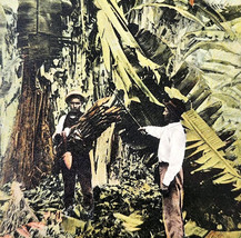 1940s Culling Bananas Postcard Fruit Farming Panama Central America E99D - $747.09 MXN