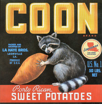 Vintage Crate Label Coon Brand Sweet Potatoes Racoon Wildlife Art Print  - £19.46 GBP