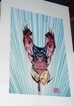 Wolverine Poster #51 Pounce by Jim Lee X-Men Movie MCU DC Publisher Avengers - £23.56 GBP