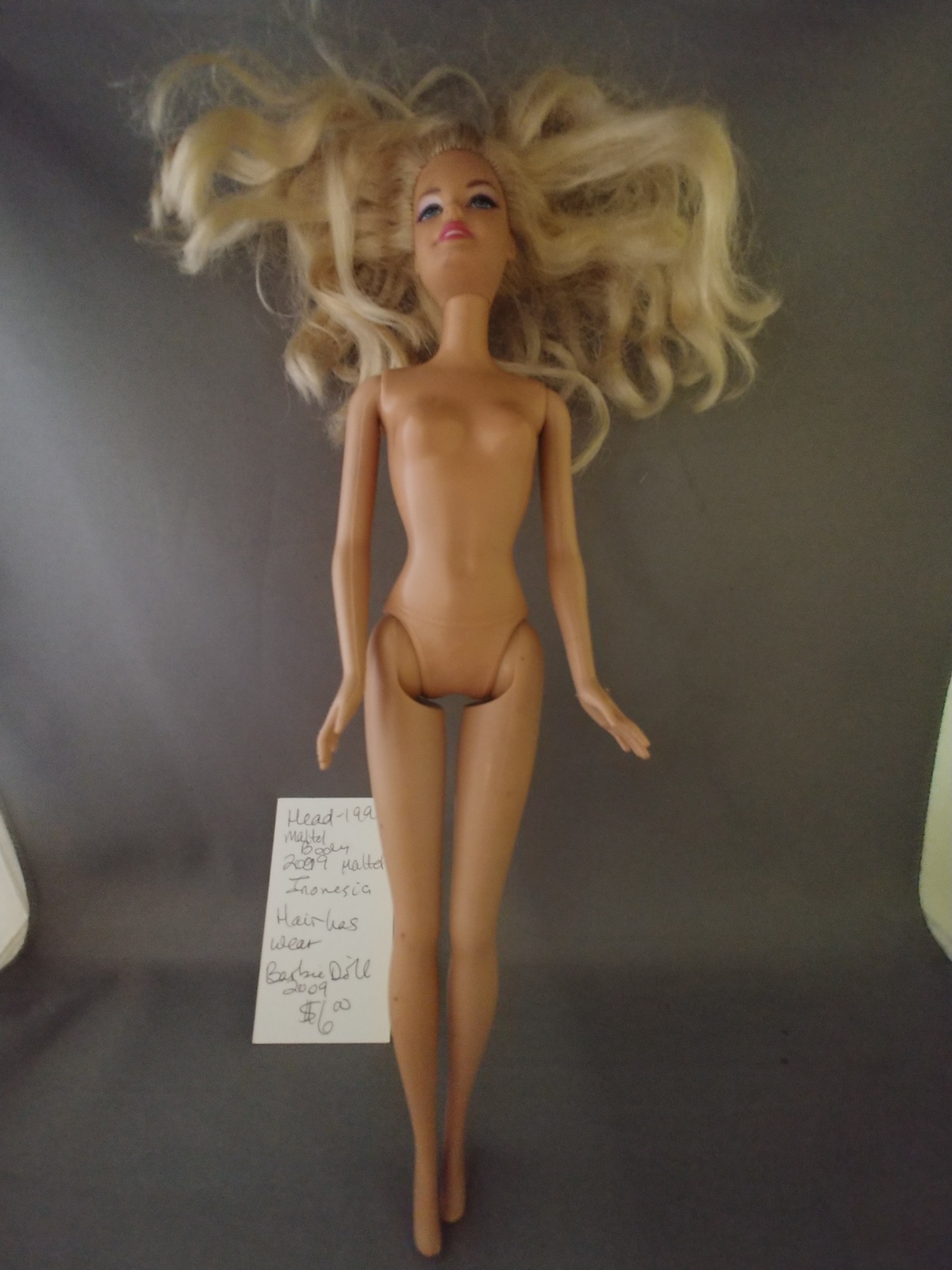 2009 Barbie Doll