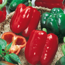 California Wonder Bell Pepper, Variety Sizes, Heirloom, NON-GMO, Free Shipping - £1.33 GBP+