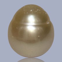 Giant Oval 14.1 x 16.2mm 23 Carats Luster Gold Philippines South Sea Loose Pearl - $168.09