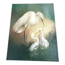 Artist Photograph Giclee Print Snowy White Egret Bird Babies Florida Nature 14&quot; - £44.83 GBP