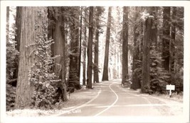 RPPC View On The Redwood Highway CA Rare Stephens Grove Signs c1940 Postcard B48 - £23.86 GBP