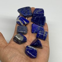128.6g,0.8&quot;-1.2&quot;, 10pcs, Natural Lapis Lazuli Tumbled Stone @Afghanistan, B30307 - £12.42 GBP