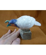 (Y-BIR-QU-50) Quail tan blue white bird gemstone STONE figurine Peru quails - $765.07 MXN