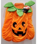 Fang Tastic Pumpkin Face Halloween Pet Dog Costume Orange Size M Back (1... - £16.45 GBP