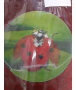Evergreen Garden Geo Spinner - Ladybug Wind Spinner - NIB - Free Shipping - £19.64 GBP