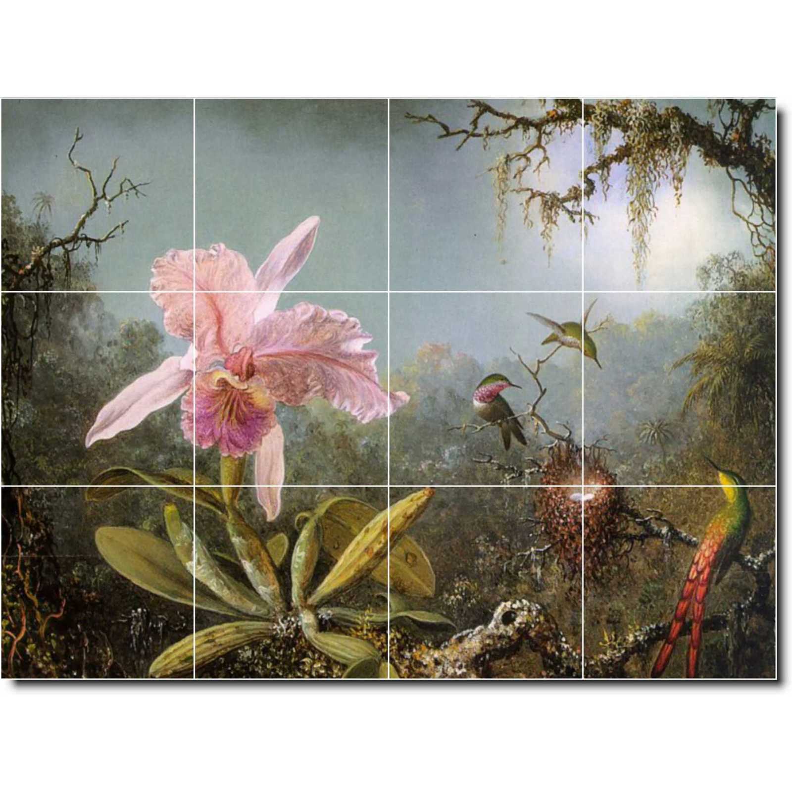 Heade martin cattelya orchid and three brazilian hummingbirds