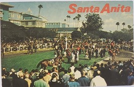 Santa Anita Park Arcadia, California Photographic Vintage Post Card - £3.08 GBP