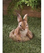 Curious Bunny Garden Decor - $14.26