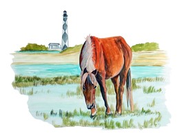 Cape Lookout NC Horse High Quality Vinyl Decal Sticker Car Truck Tumbler Cooler - £5.54 GBP+