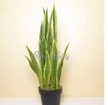 Hot New 300 pcs Artificial Succulent Agave Sansevieria Trifasciata Bonsai Potted - £5.07 GBP