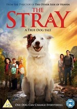 The Stray DVD (2019) Sarah Lancaster, Davis (DIR) cert PG - $4.81