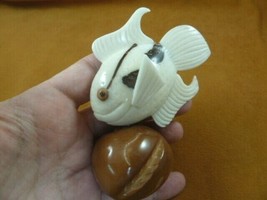(TNE-FIS-AN-214a) Angelfish Tropical Fish Tagua Nut Figurine Carving Ivory Palm - £26.06 GBP