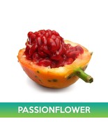 Passionflower Seeds Passiflora Caerulea Fast Grow - $230.13 MXN