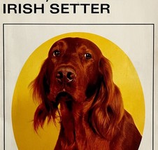 Know Your Irish Setter 1970s PB Pet Library Guide Reference Book Vintage E60 - £19.29 GBP