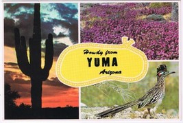 Arizona Postcard Yuma Multi View Roadrunner Cactus Flowers - $2.05