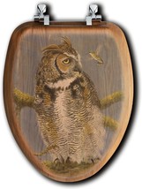Outdoor Image, Fearless Owl And Hummingbird, House And Homebody Co., Oak Veneer - £107.85 GBP